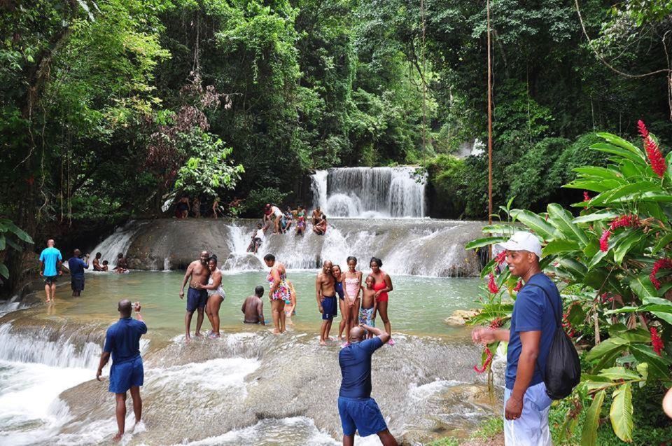 From Negril: YS Falls and the Pelican Bar - Tour Details