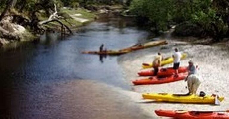 From Orlando: Kayaking the Econlockhatchee River With Lunch