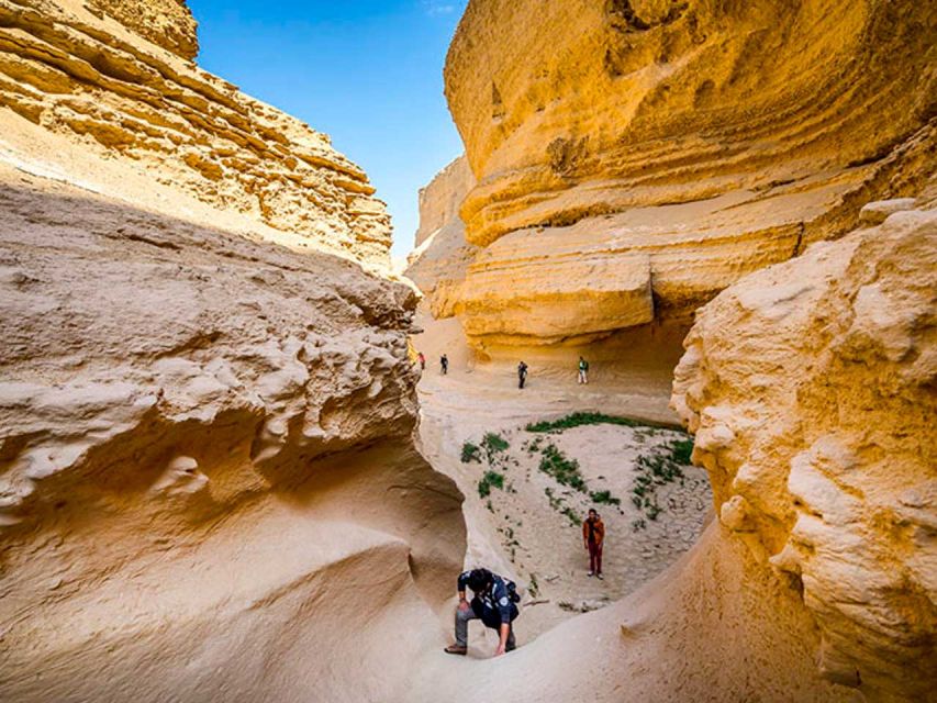 From Paracas/Ica: Canyon of the Lost Guided Day Trip - Highlights