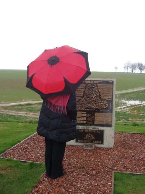 From Paris: WWI Somme Battlefields Full-Day Tour