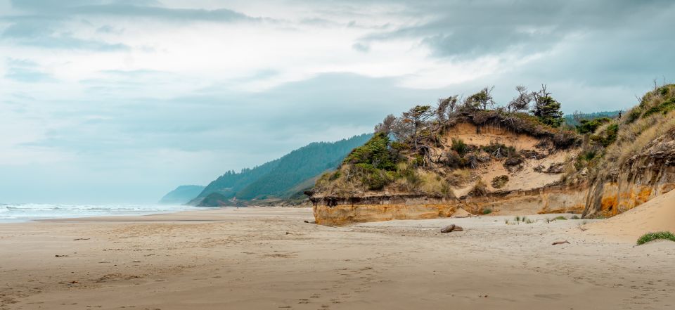 From Portland: Oregon Coast Day Trip Cannon Beach Area