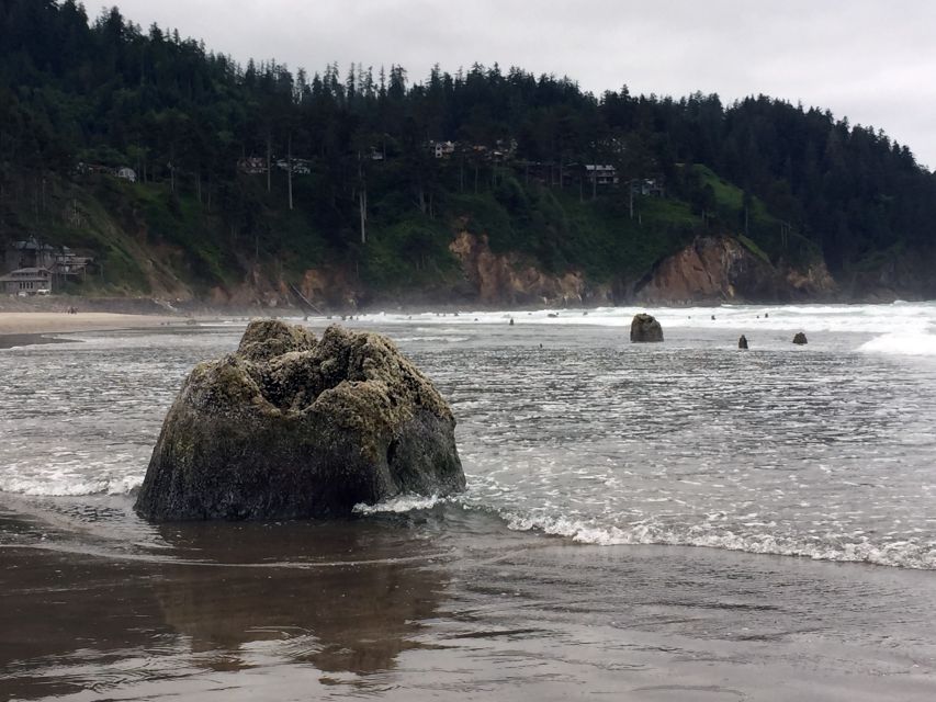 From Portland: Oregon Coast Day Trip to Three Capes Loop - Itinerary