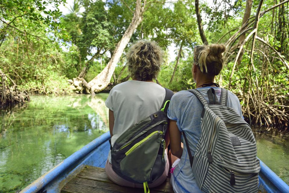 From Punta Cana: Los Haitises & Caño Hondo Private Boat Tour - Activity Description