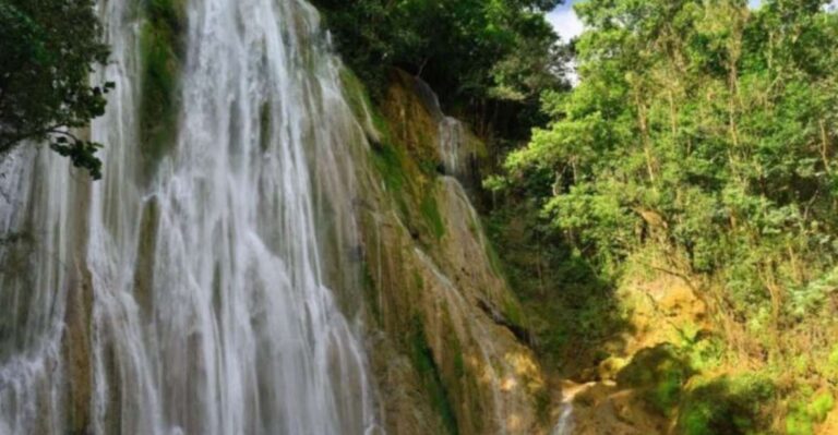 From Punta Cana: Samana Island and Cascada El Limon Tour