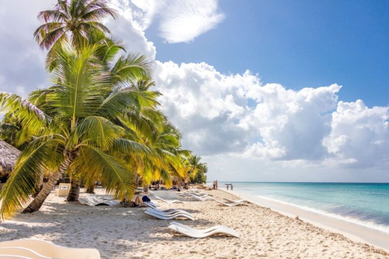 From Punta Cana: Saona Island Cruise With Private Beach