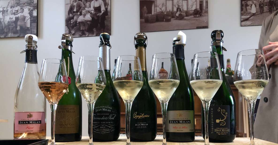 From Reims/Epernay: Private Gold Champagne Tasting Tour