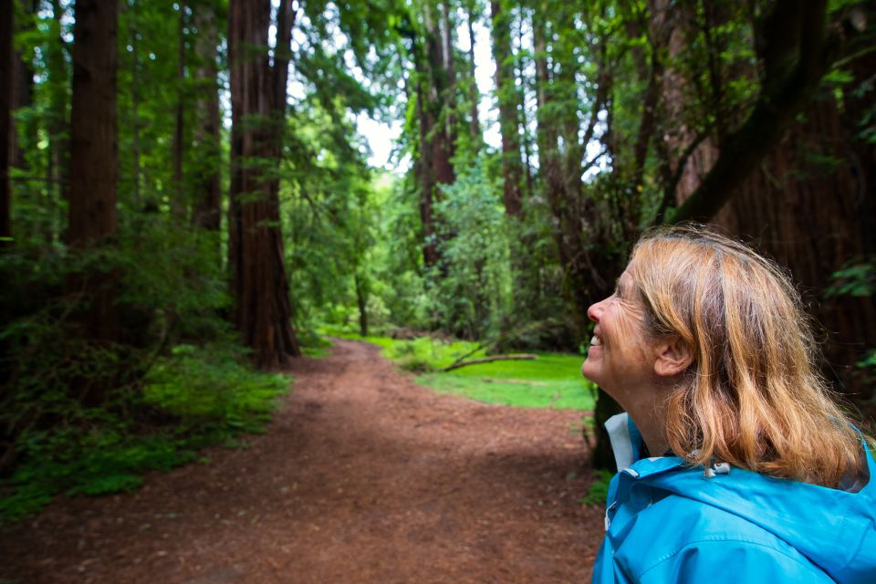 From San Francisco: Muir Woods Redwood Forest Tour - Cancellation Policy