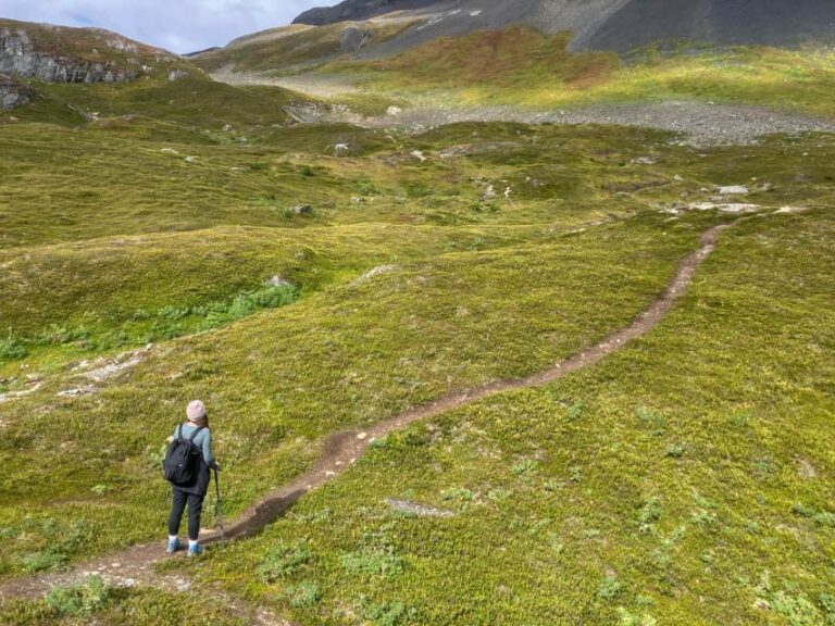 From Seward: Harding Icefield Trail Hiking Tour