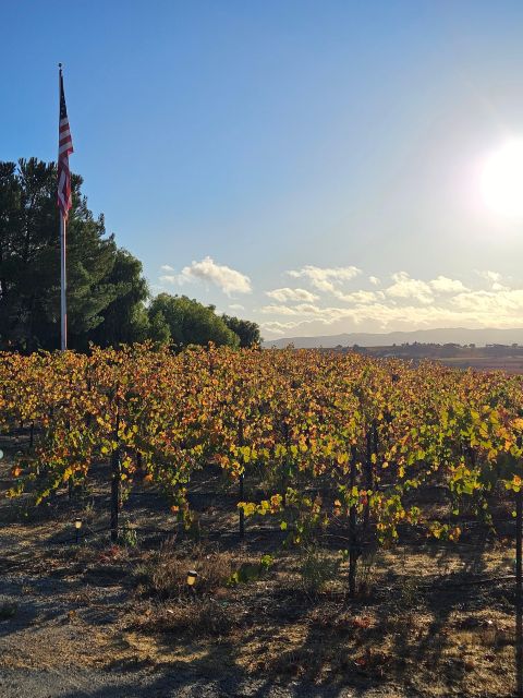 Full-Day Inclusive Wine Tasting Tour From Santa Ynez Valley - Highlights and Activities