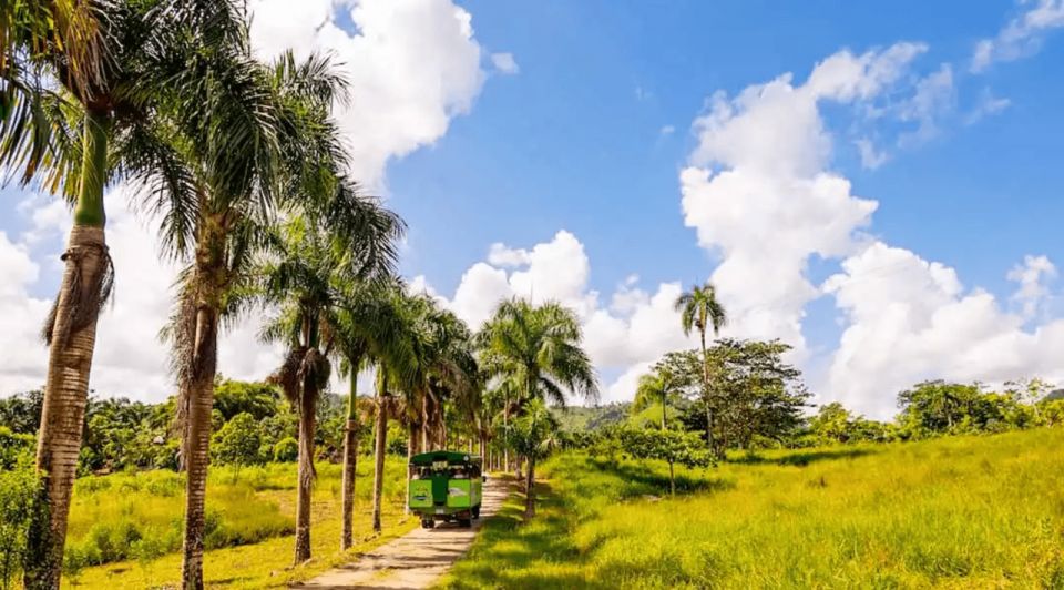 Full Dominican Adventure: Zipline, ATV, Horseback & Safari