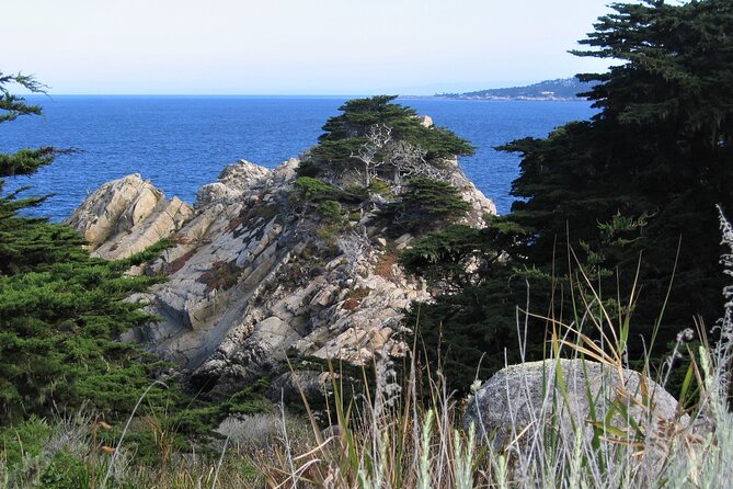 Guided 2-Hour Point Lobos Nature Walk - Inclusions