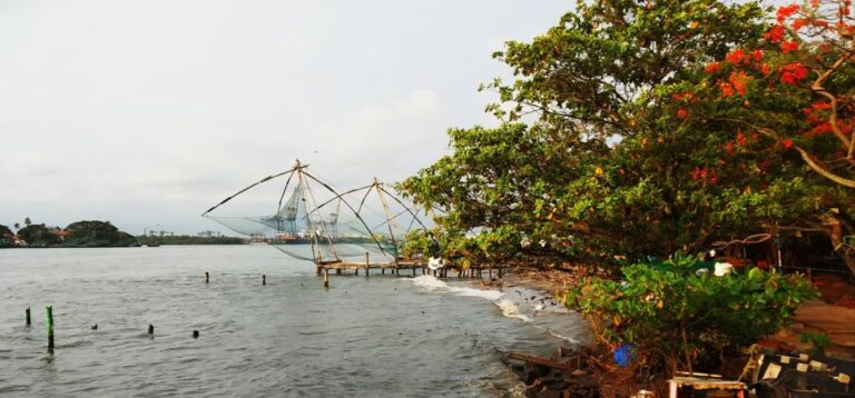Highlights of Cochin: Group Tour From Cochin Port