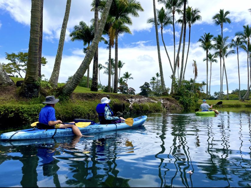 Hilo: Wailoa River to King Kamehameha Guided Kayaking Tour