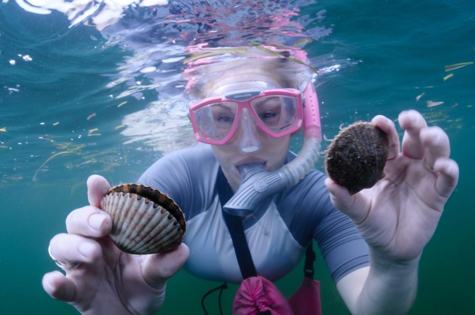 Homosassa: Snorkel & Scallop Hunt in Gulf of Mexico