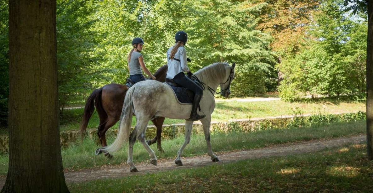 Horse Ride Versailles Intimacy & Vip - Activity Overview