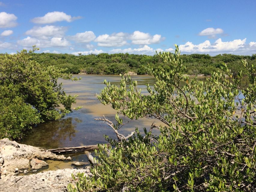 Jaragua National Park: Explore Laguna De Oviedo - Inclusions