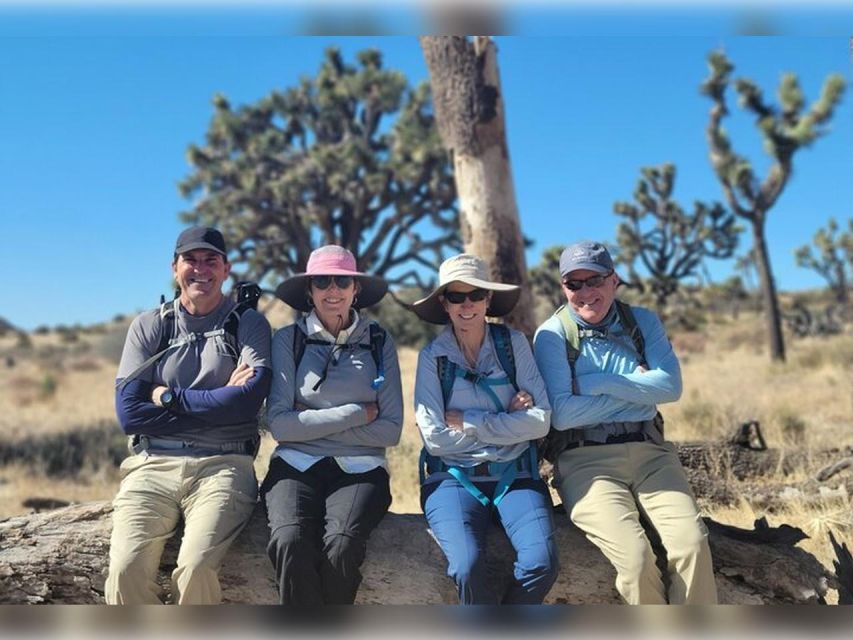 Joshua Tree: Half-Day Private Hike of the National Park - Booking Details