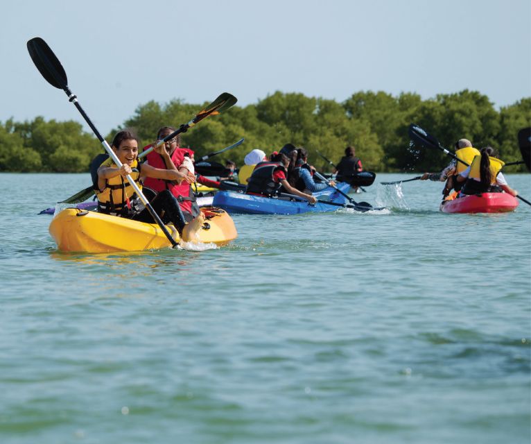Juan Dolio: Los Haitises Guided Hike and Kayaking - Activity Details