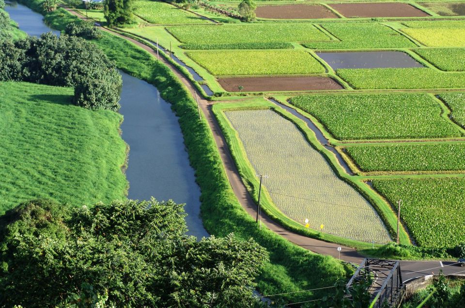 Kauai: Full-Day Tour With Fern Grotto River Cruise - Booking Details