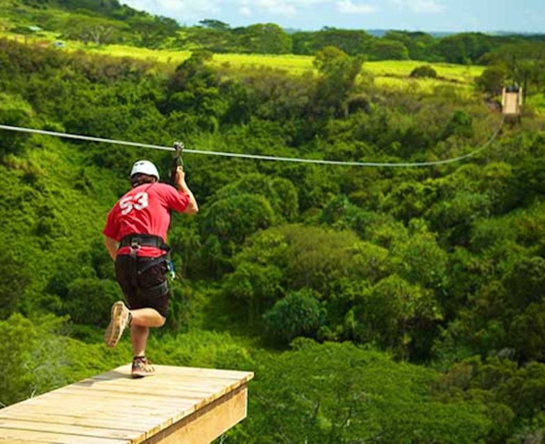 Kauai: Zipline Adventure