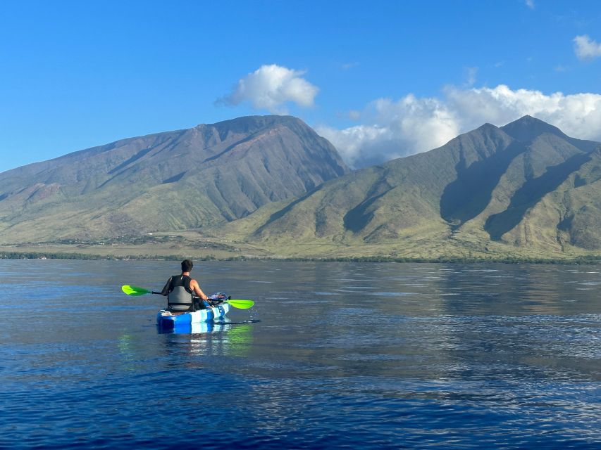 Kayak, Whale Watch And Snorkel At Turtle Town