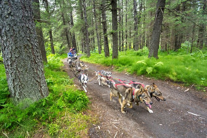 Kennel Tour and Dog Sled Ride - Logistics