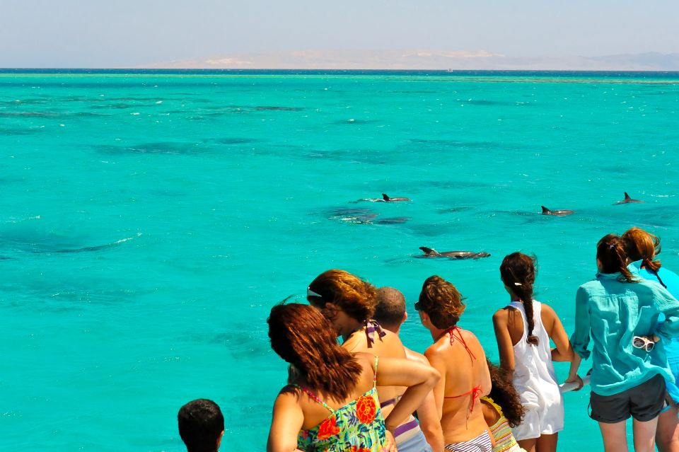 Key West Sandbar Excursion & Dolphin Tour Includes Beer Wine - Tour Highlights