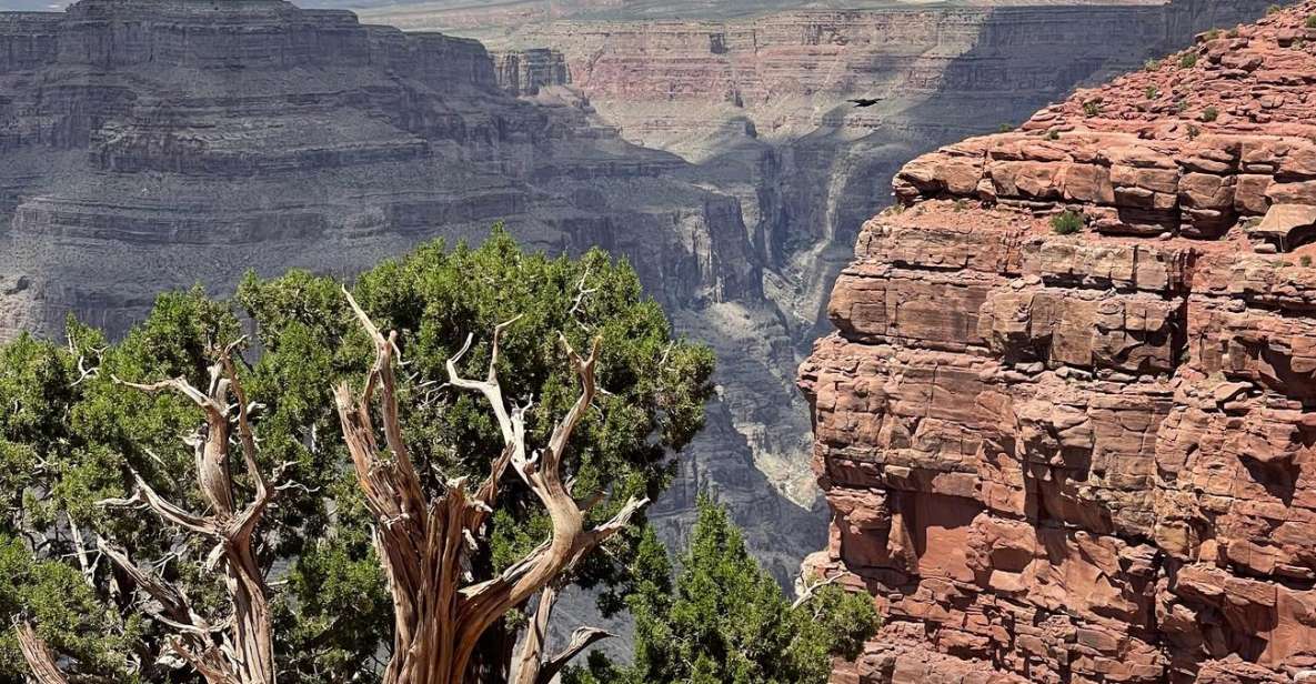 Las Vegas: Grand Canyon National Park West Rim Tour W/ Lunch