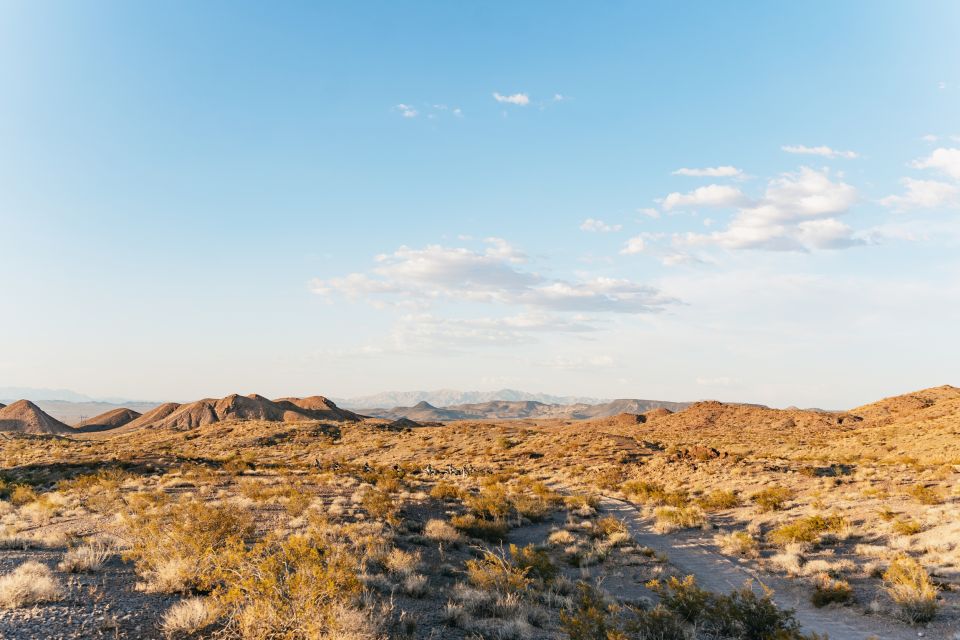 Las Vegas: Guided Las Vegas Desert ATV Tour - Tour Details