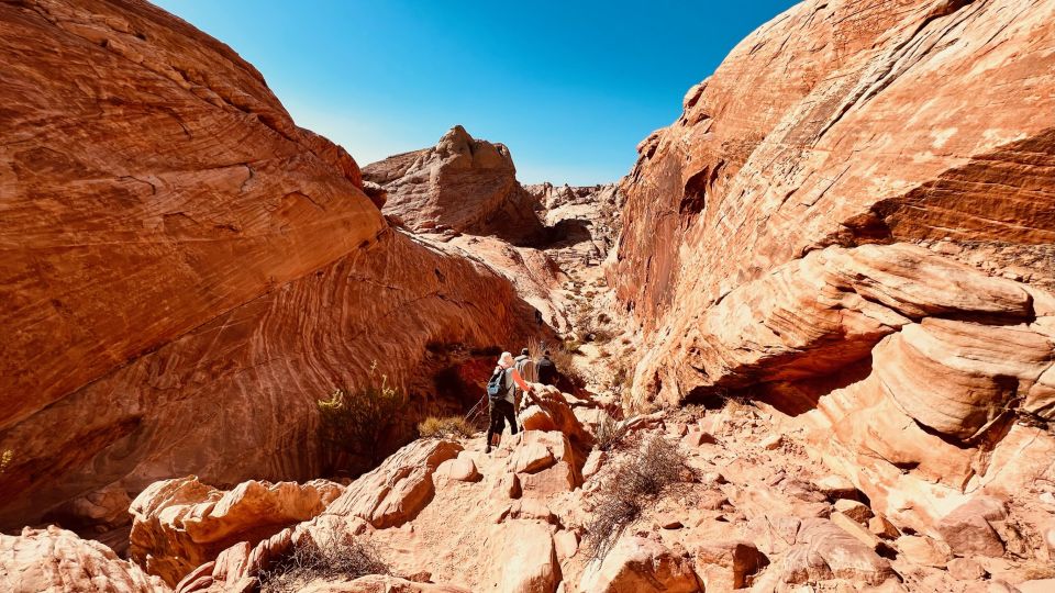 Las Vegas: Valley of Fire Scenic Tour - Inclusions