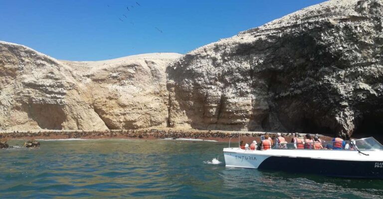 Lima: Ballestas Islands, Winery and Nazca Lines Private Tour