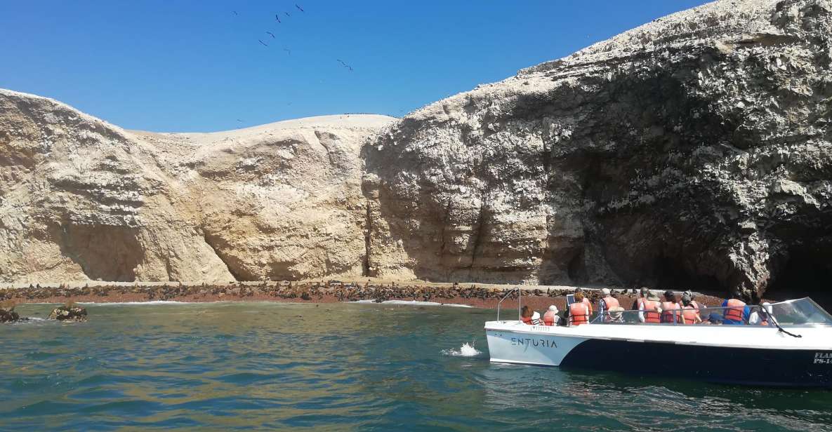 Lima: Ballestas Islands, Winery and Nazca Lines Private Tour - Tour Details