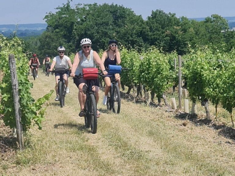 Loire Valley Chateau: 2-Day Cycling Tour With Wine Tasting