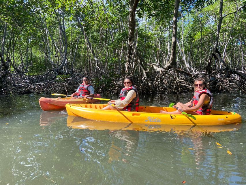 Los Haitises All One: Kayaking, Hiking, Boat, and Swimming