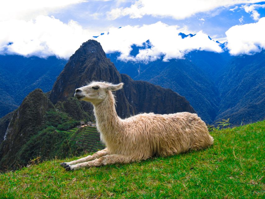 Machu Picchu and Machu Picchu Mountain 1-day | Private Tour| - Common questions