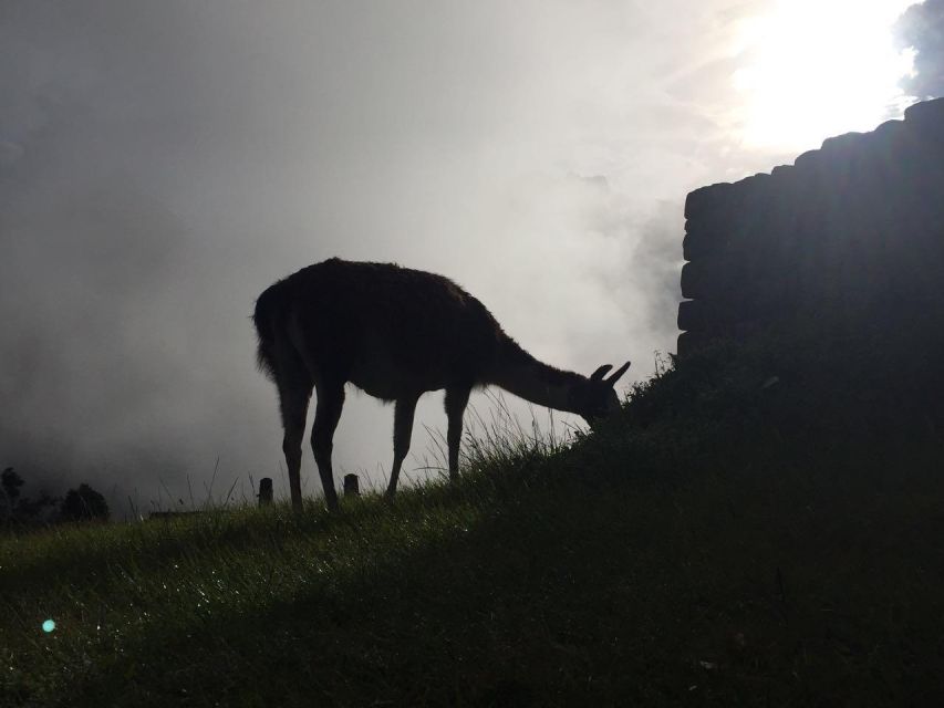 Machu Picchu By Train (2 Days)