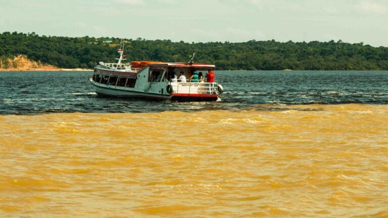 Manaus: Meeting of the Waters & Pink Dolphin Tour With Lunch