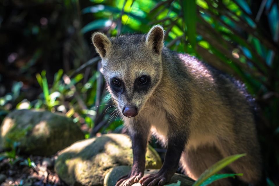 Manu National Park Tours From Cusco 5 Days