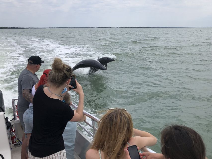 Marco Island: 1Ten Thousand Islands Dolphin & Shelling Tour