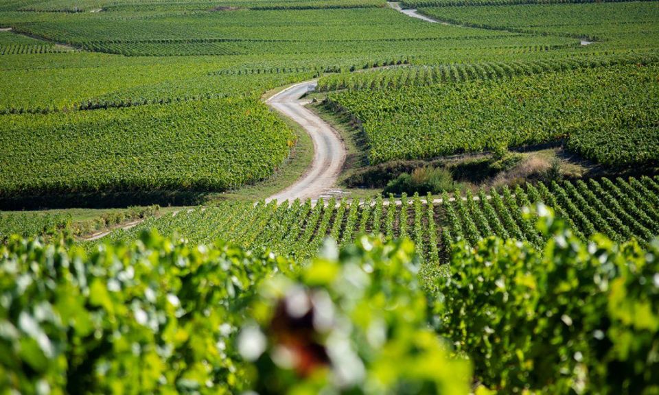 Marne: 2-Day Champagne Tour With Tastings and Lunches