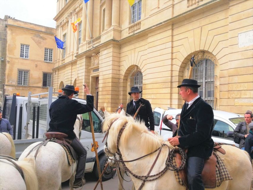 Marseille: The Camargue 8-Hour Guided Outing - Activity Overview