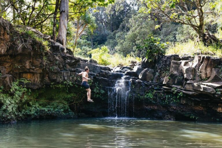 Maui: Hike to the Rainforest Waterfalls With a Picnic Lunch