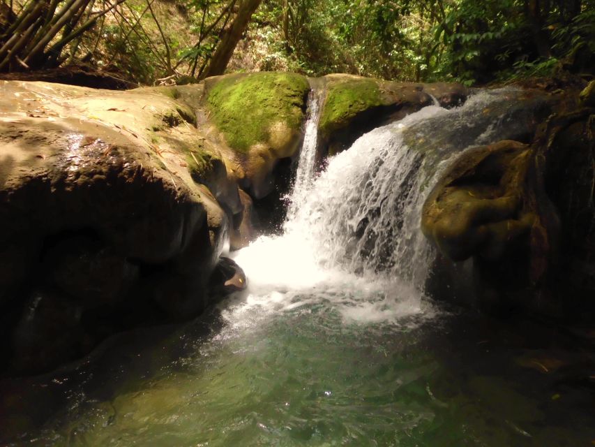 Mayfield Falls River Walk With Private Transportation - Tour Highlights