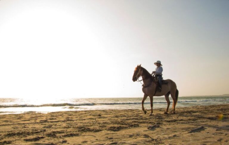 Miami: Beach Horse Ride & Nature Trail