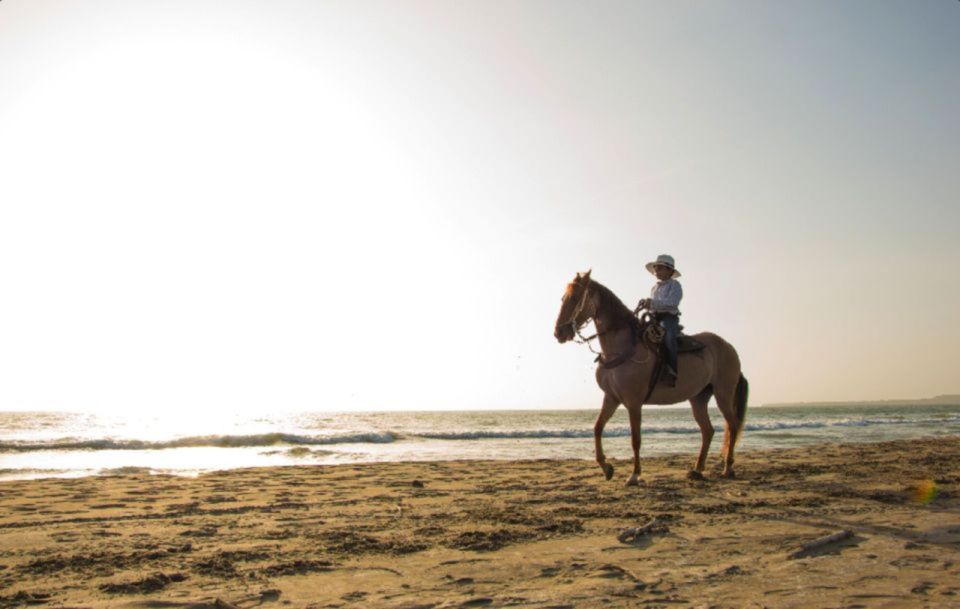Miami: Beach Horse Ride & Nature Trail - Booking Details