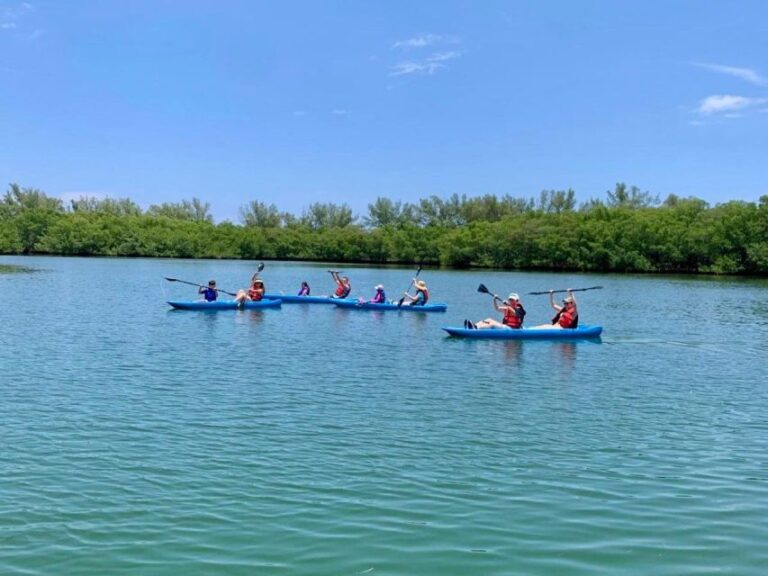 Miami: Manatee Season Tour Paddleboard or Kayak Tour