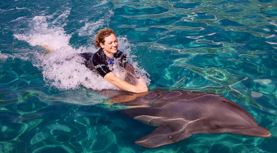 Miami: Swim With Dolphins Experience With Seaquarium Entry