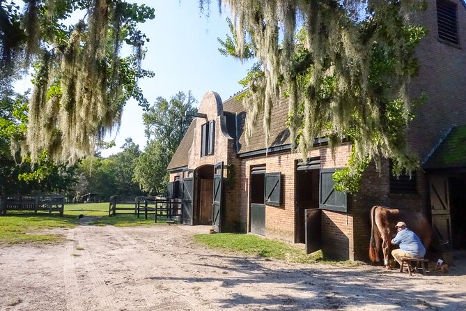 Middleton Place Plantation - 3 Hour Guided Tour - Hotel Pickup - Guide Insights and Visitor Experiences