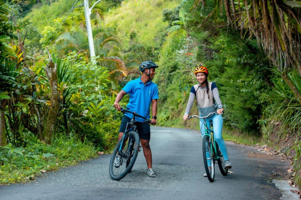 Montego Bay: Blue Mountain Private Bicycle Tour - Activity Description