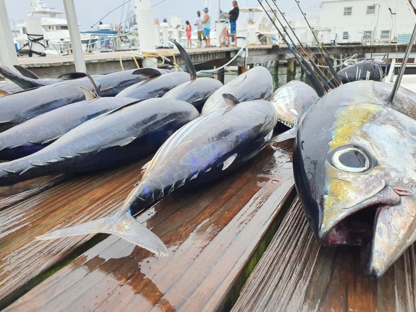 Nassau: Sport-Fishing Private Charter . - Activity Details